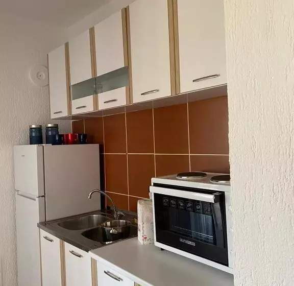 پانسیون Guest House Cvoro