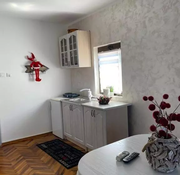 پانسیون Guest House Cvoro