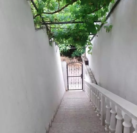 پانسیون Guest House Cvoro