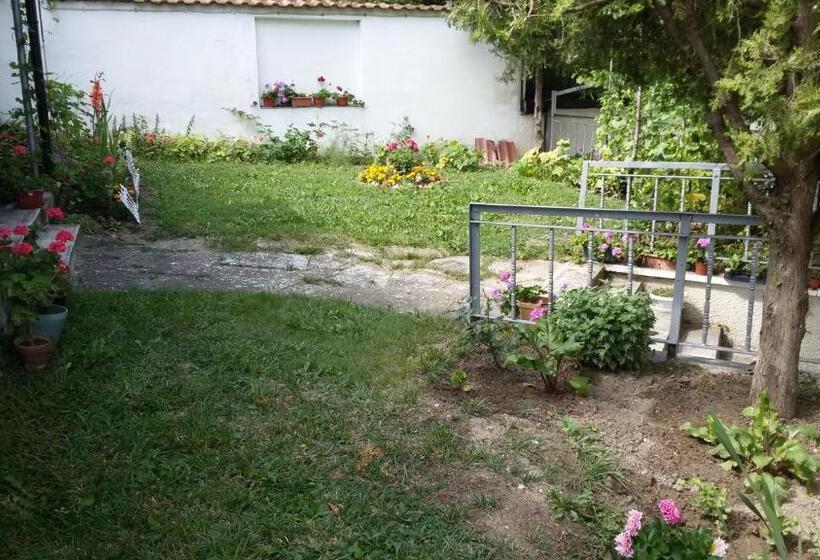 פנסיון Guest House Orfey