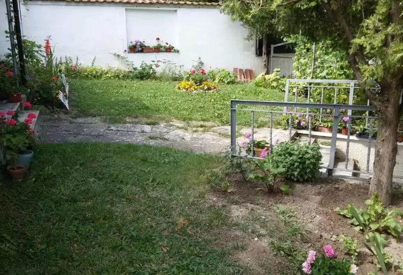 پانسیون Guest House Orfey