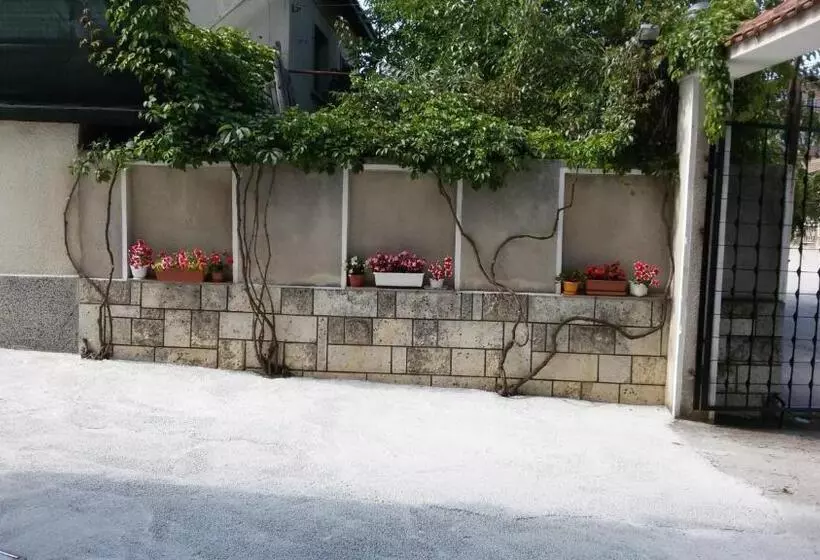 پانسیون Guest House Orfey