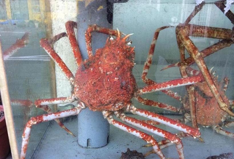 펜션 Onsen Minshuku Otsuka