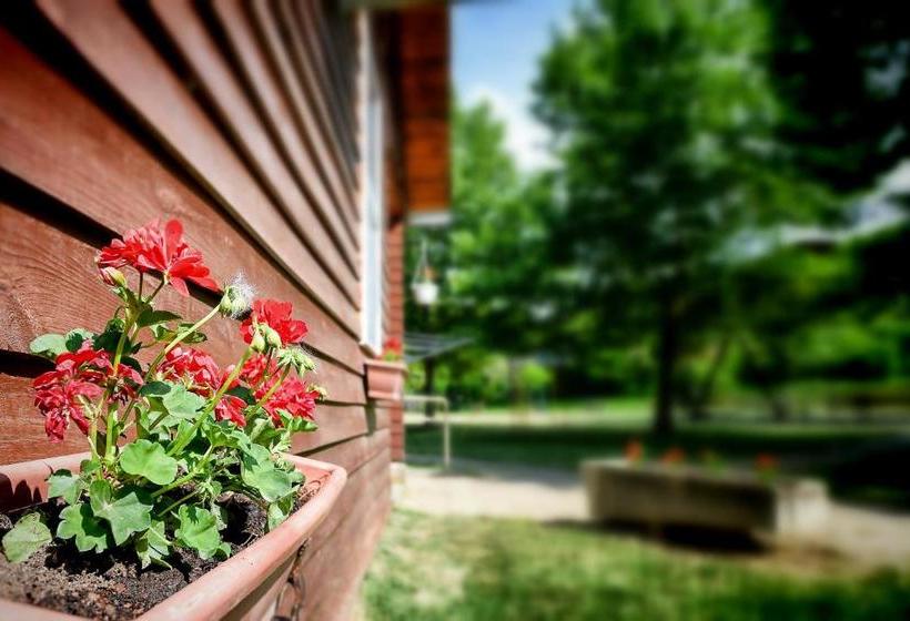 膳宿费 Oliver Inn