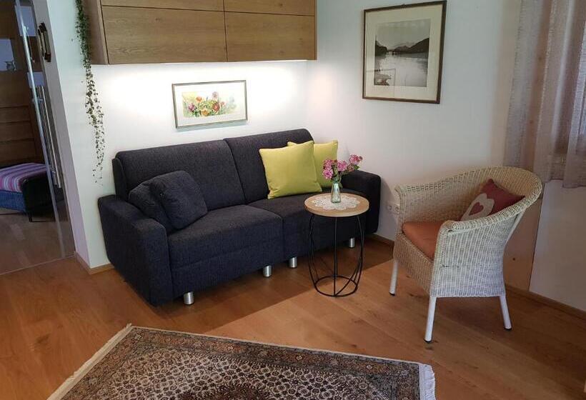 פנסיון Carinthia