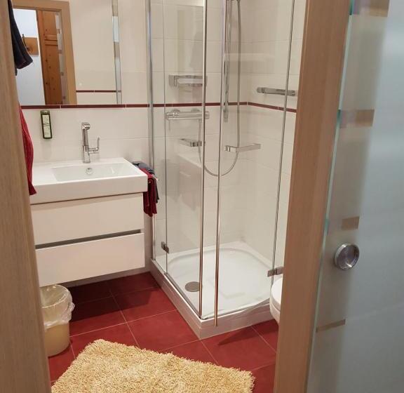 פנסיון Carinthia