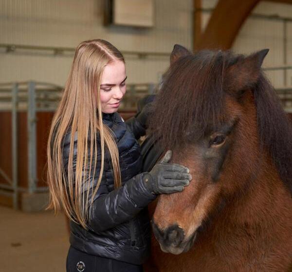 پانسیون Syðraskorðugil Guesthouse