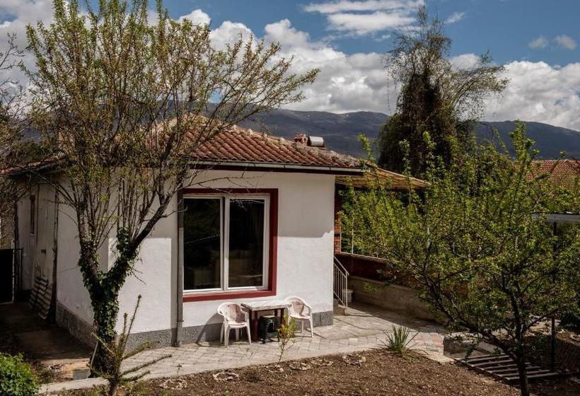 پانسیون Villa Ella