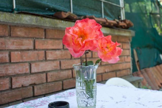 پانسیون Villa Ella