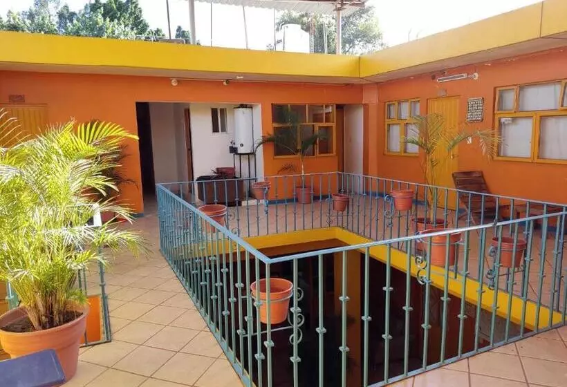 پانسیون Hostal Zipolite Arteaga