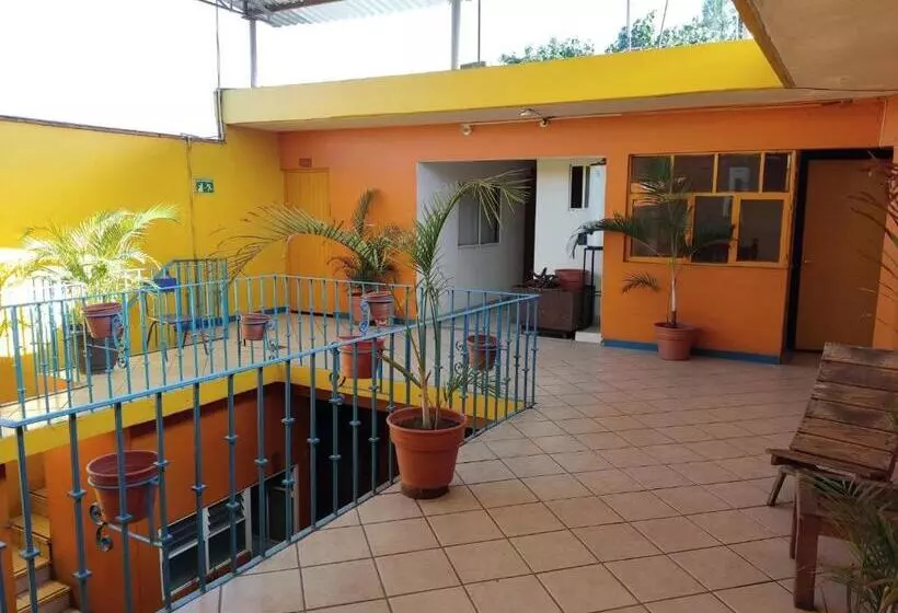 پانسیون Hostal Zipolite Arteaga