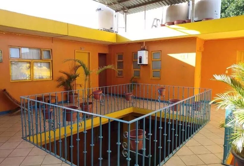پانسیون Hostal Zipolite Arteaga