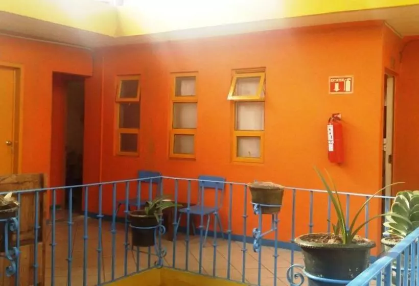پانسیون Hostal Zipolite Arteaga