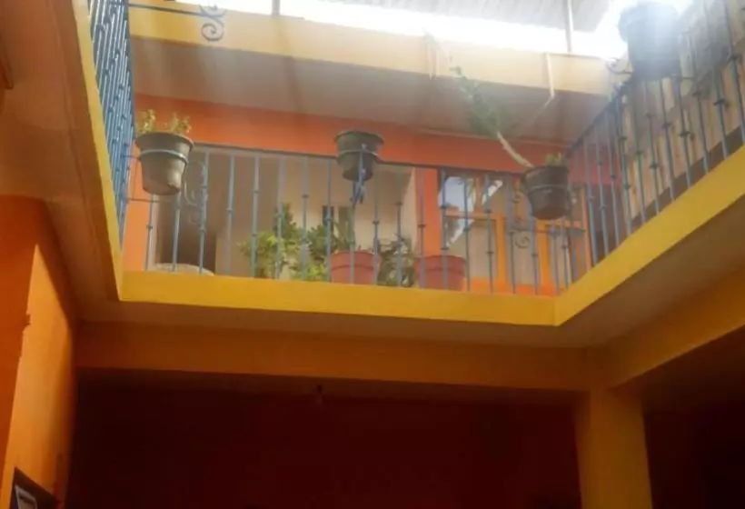 پانسیون Hostal Zipolite Arteaga