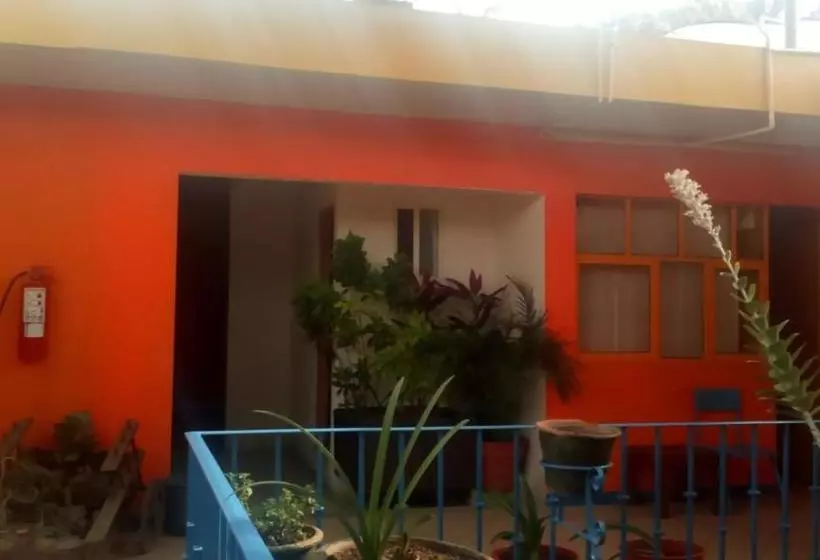 پانسیون Hostal Zipolite Arteaga