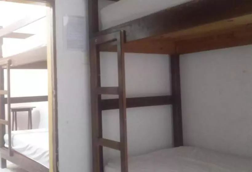 پانسیون Hostal Zipolite Arteaga