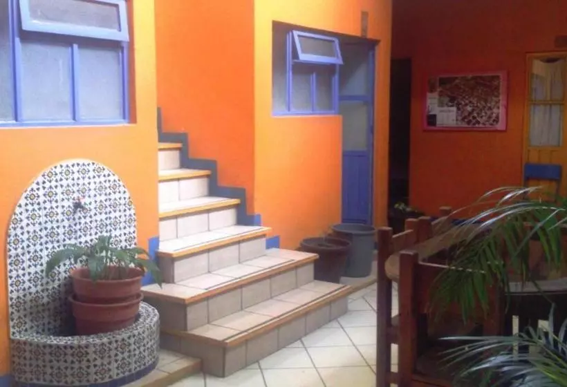 پانسیون Hostal Zipolite Arteaga