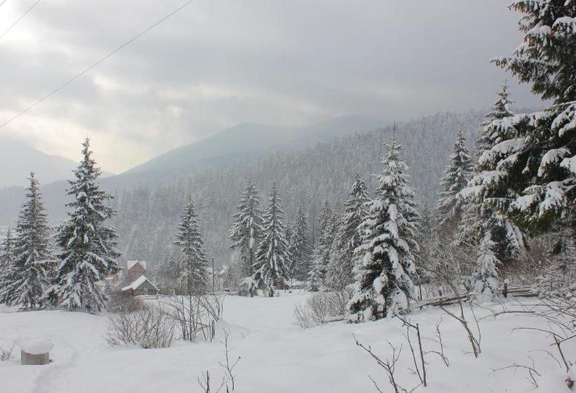 بنسيون Krutogora