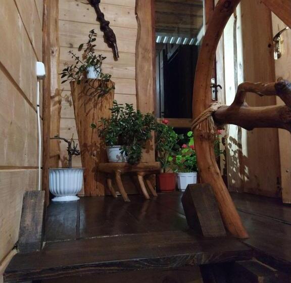 بنسيون Krutogora