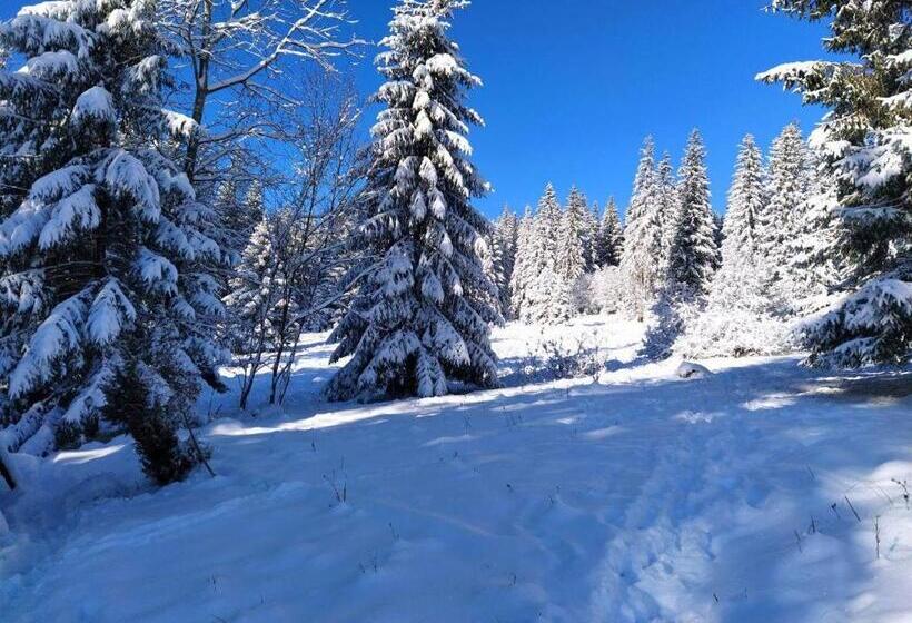 بنسيون Krutogora