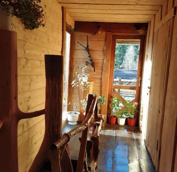 بنسيون Krutogora