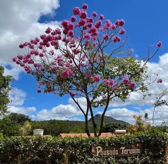 ペンション Pousada Tarumim