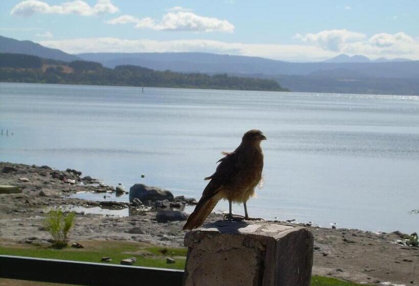 旅馆 Apart Hotel Antu De Villarrica