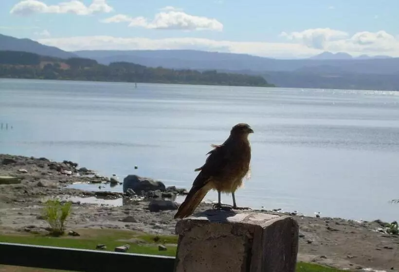 Retkeilymaja Apart Hotel Antu De Villarrica