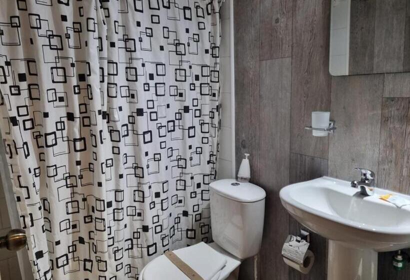 旅馆 Apart Hotel Antu De Villarrica