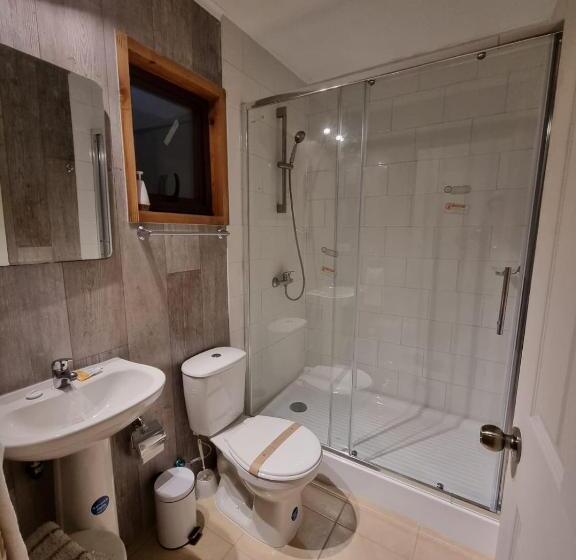 旅馆 Apart Hotel Antu De Villarrica