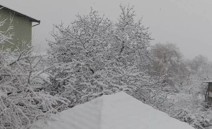 ペンション Kyurkchievi Guest House