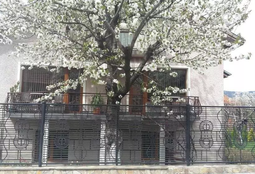 ペンション Kyurkchievi Guest House