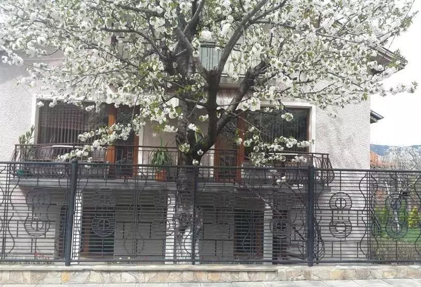 ペンション Kyurkchievi Guest House