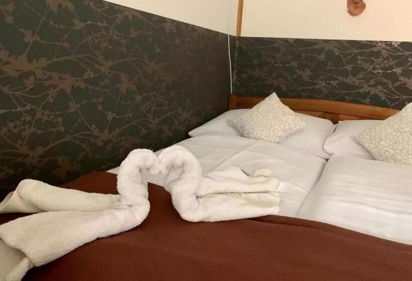 پانسیون Penzion Vanessa