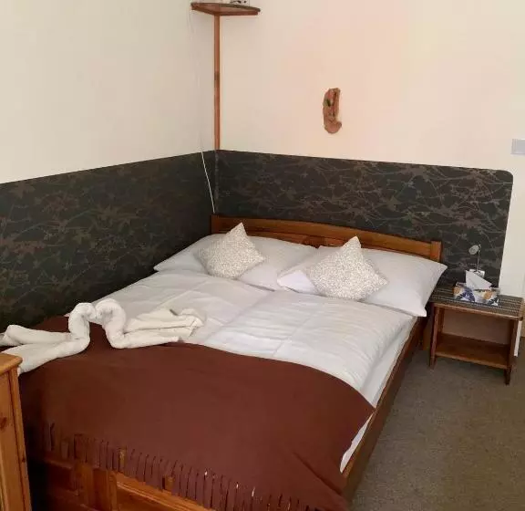 پانسیون Penzion Vanessa