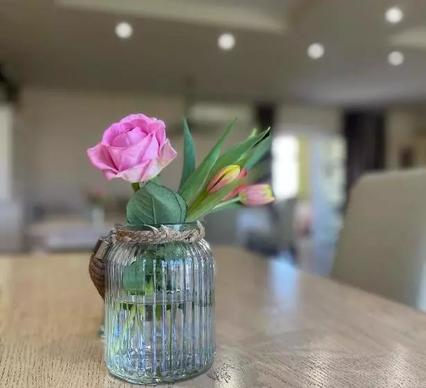 پانسیون Divá Kačica Restaurant & Pansion