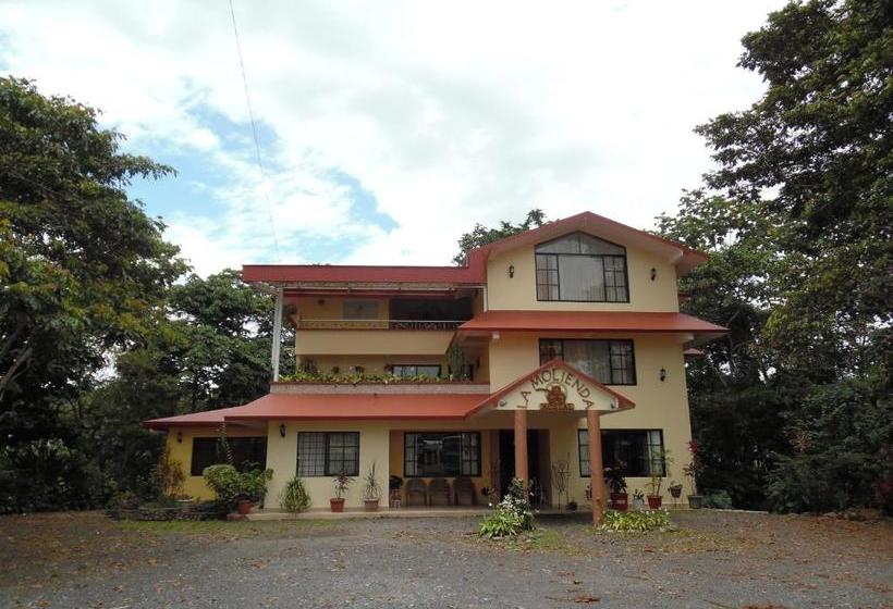 پانسیون Hostal La Molienda