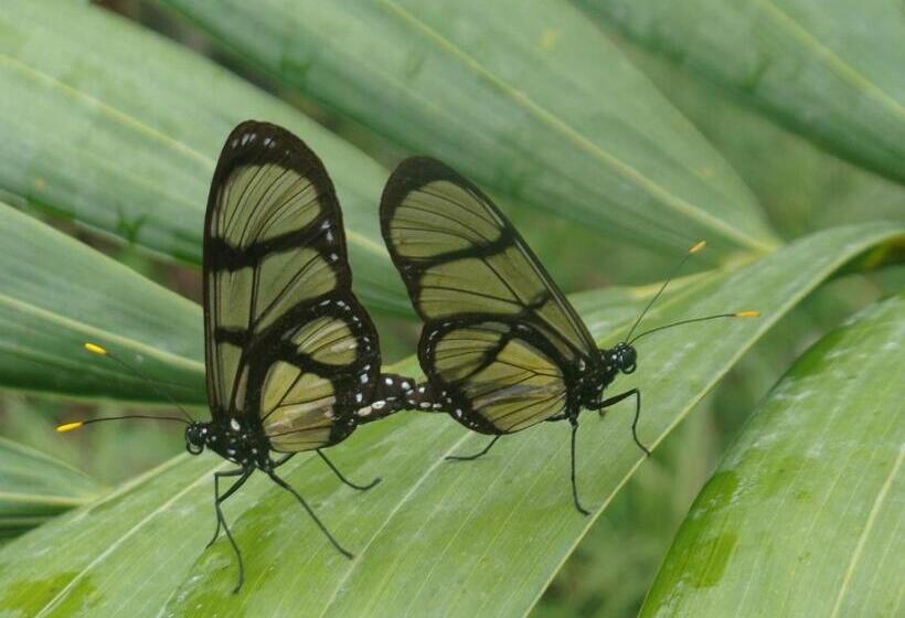 پانسیون Hostal La Molienda