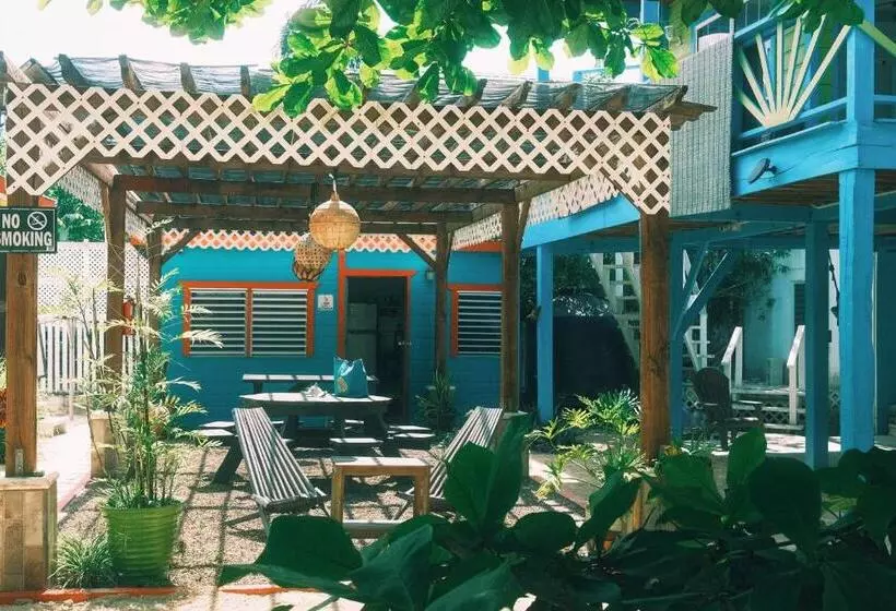 پانسیون Sea N Sun Guest House