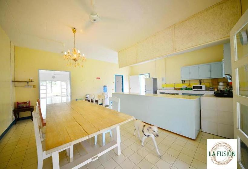 La Fusion Garden Resort  Hostel