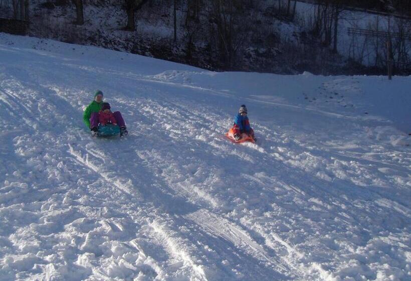 ホテル Biobauernhof Aslgut