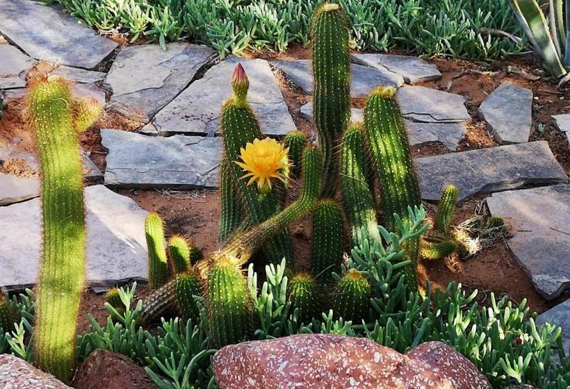 هتل Terra Rouge Guestfarm & Sonstraal Farmhouse