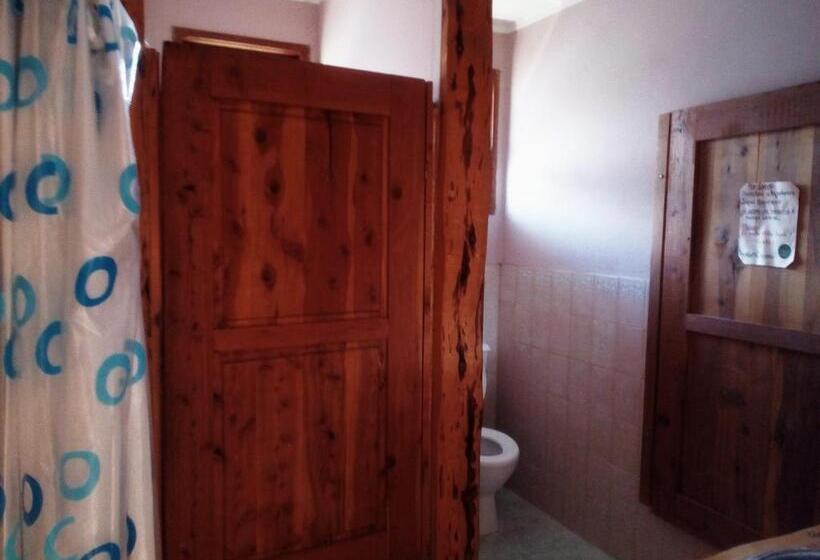 פנסיון Ankatu Hostel