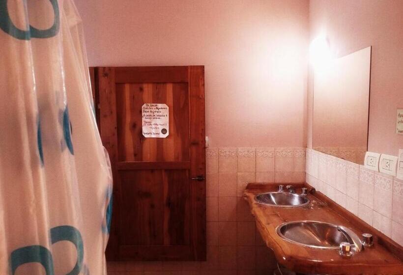 פנסיון Ankatu Hostel