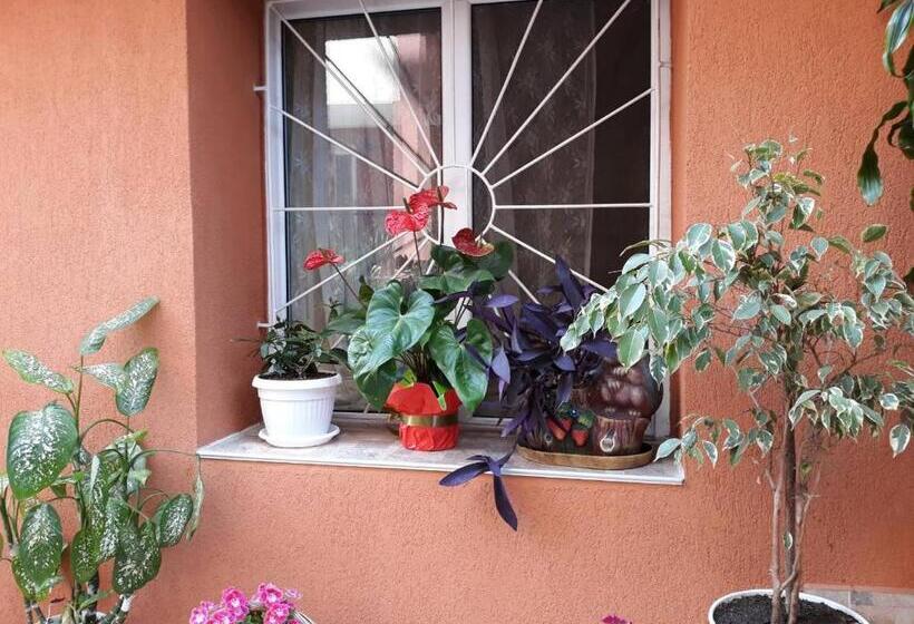 פנסיון Guest House Yanina