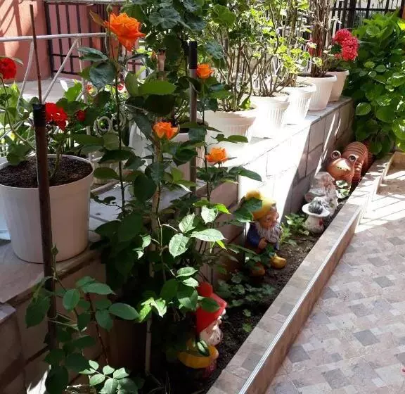 پانسیون Guest House Yanina