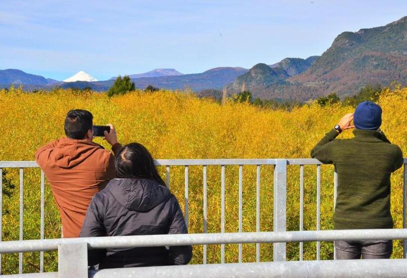 Pension Hostal Graciela