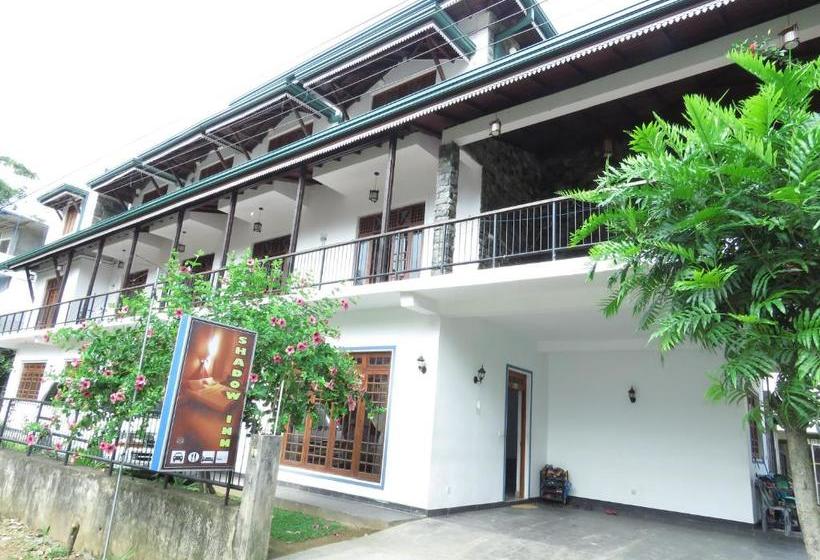 膳宿费 Shadow Inn Ella