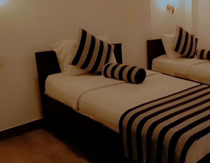 膳宿费 Shadow Inn Ella