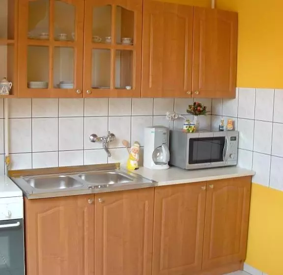 ペンション Zsuzsi Vendégház